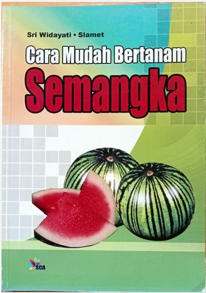 Cara mudah bertanam semangka